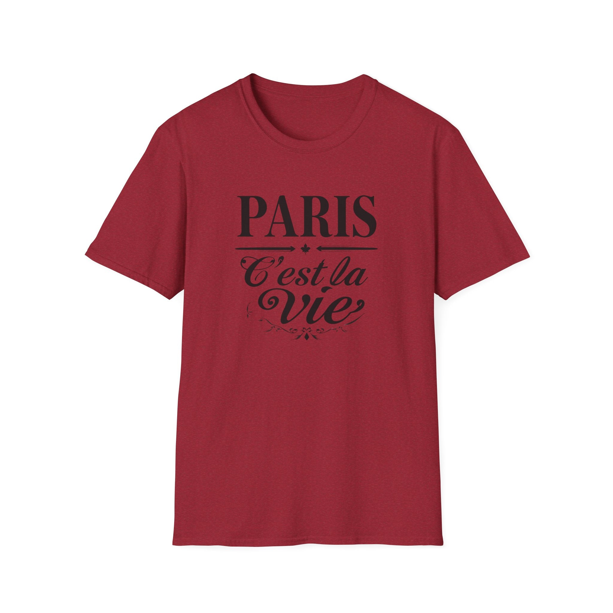 Paris C'est la Vie T-Shirt | French Script Tee, Paris Typography Shirt