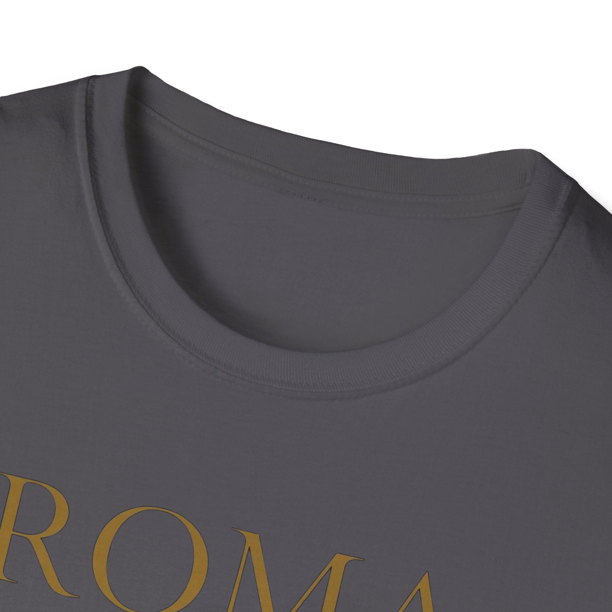 Roma Art Museum T-Shirt — "It’s a Real Draw" Vintage Travel Tee