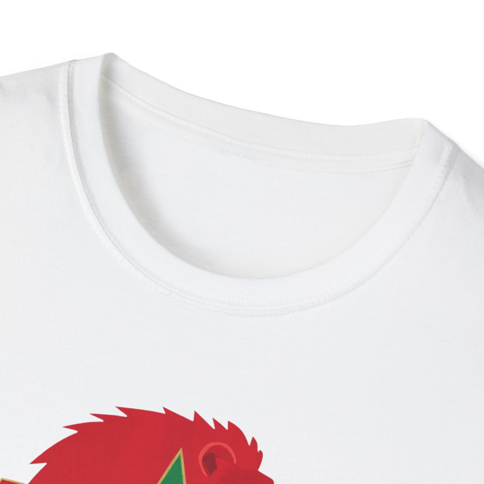 Morocco Atlas Lions 2026 T-Shirt
