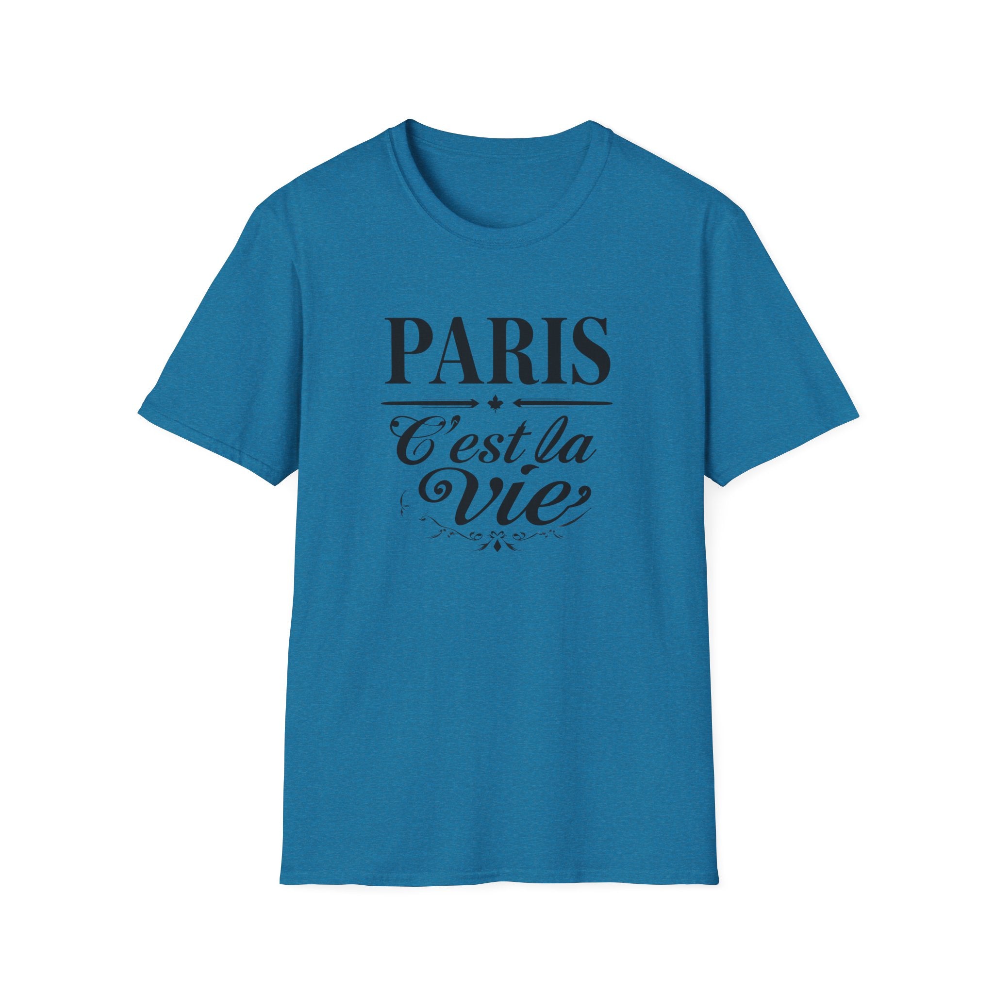 Paris C'est la Vie T-Shirt | French Script Tee, Paris Typography Shirt