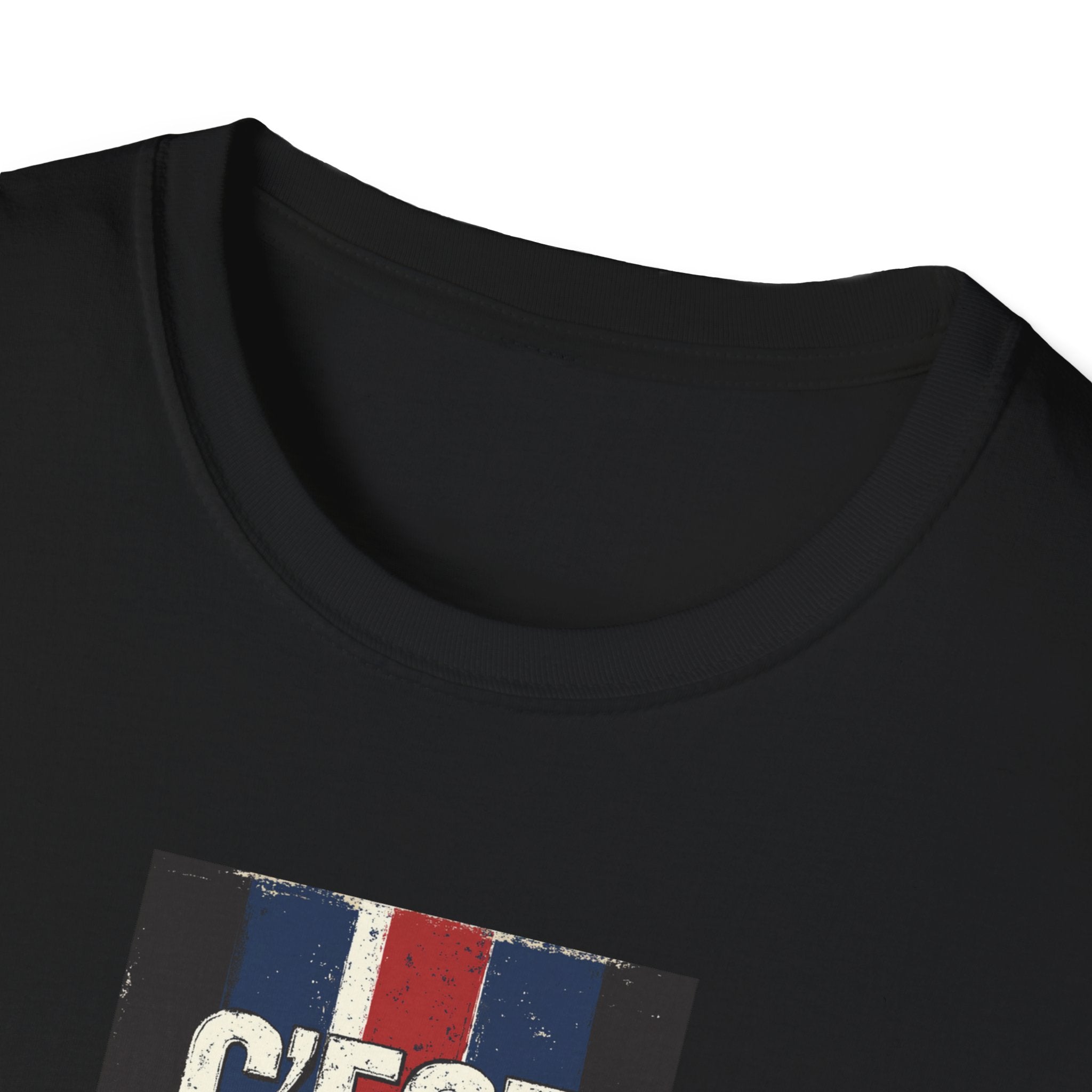 C'est Bon French Flag Stripe T-Shirt | Retro French Phrase Tee