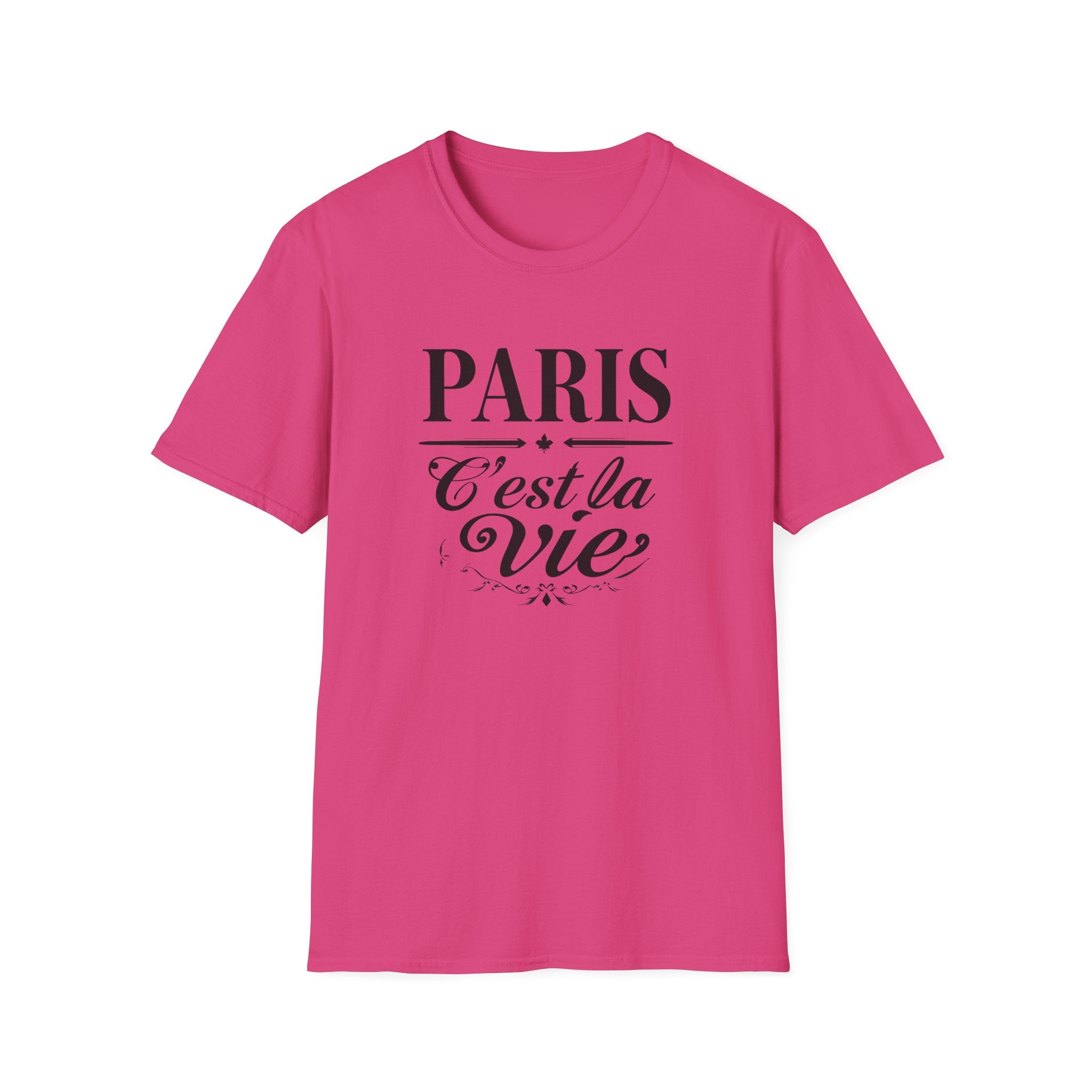 Paris C'est la Vie T-Shirt | French Script Tee, Paris Typography Shirt