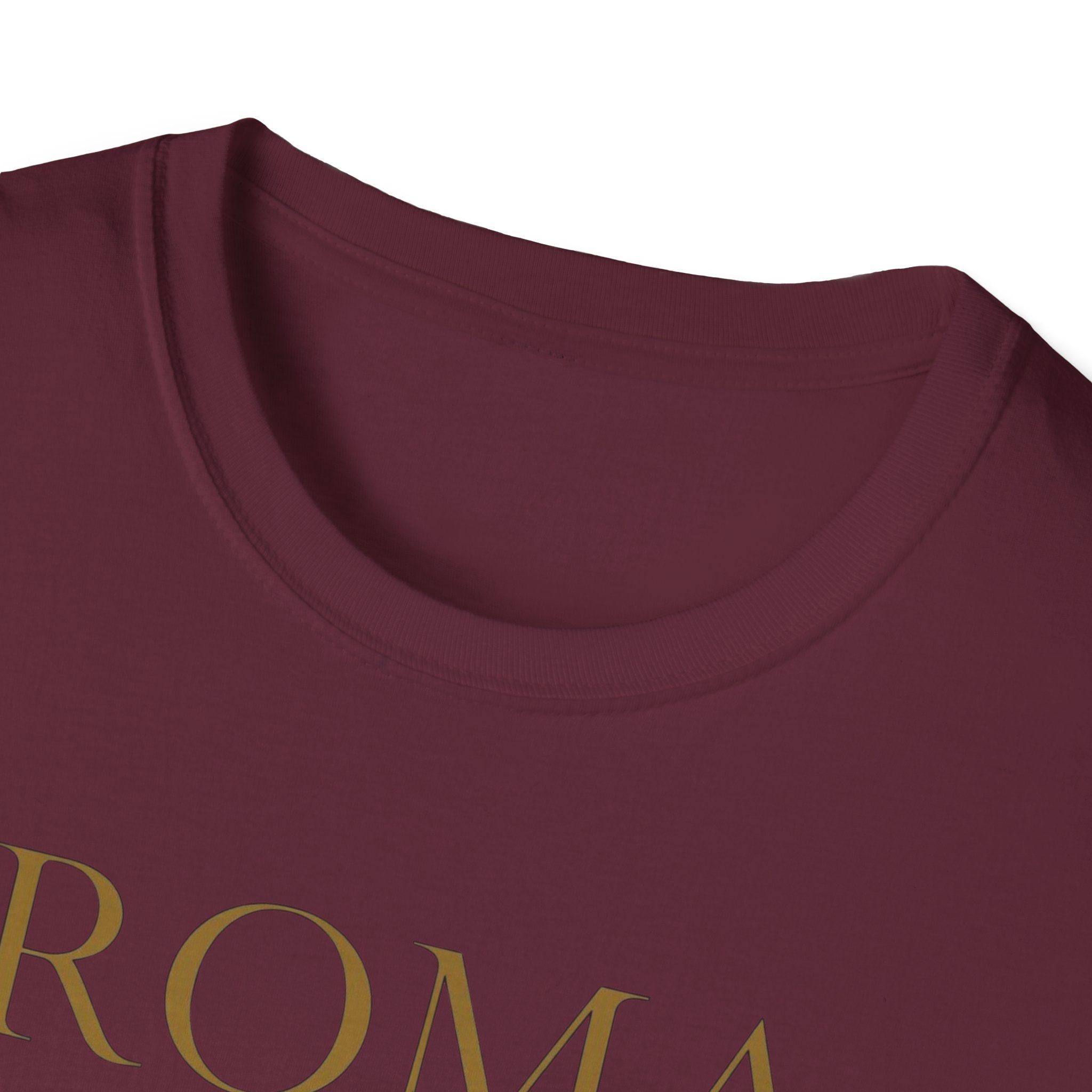 Roma Art Museum T-Shirt — "It’s a Real Draw" Vintage Travel Tee