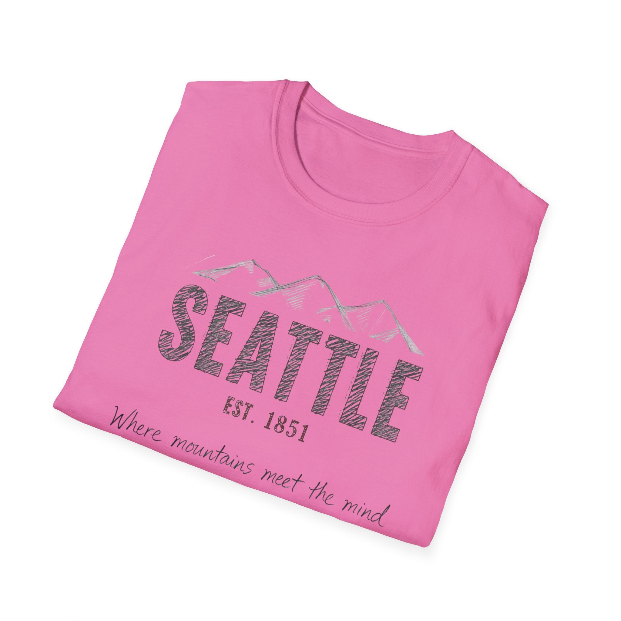 Seattle Mountains T-Shirt — "Where mountains meet the mind" Vintage City Tee
