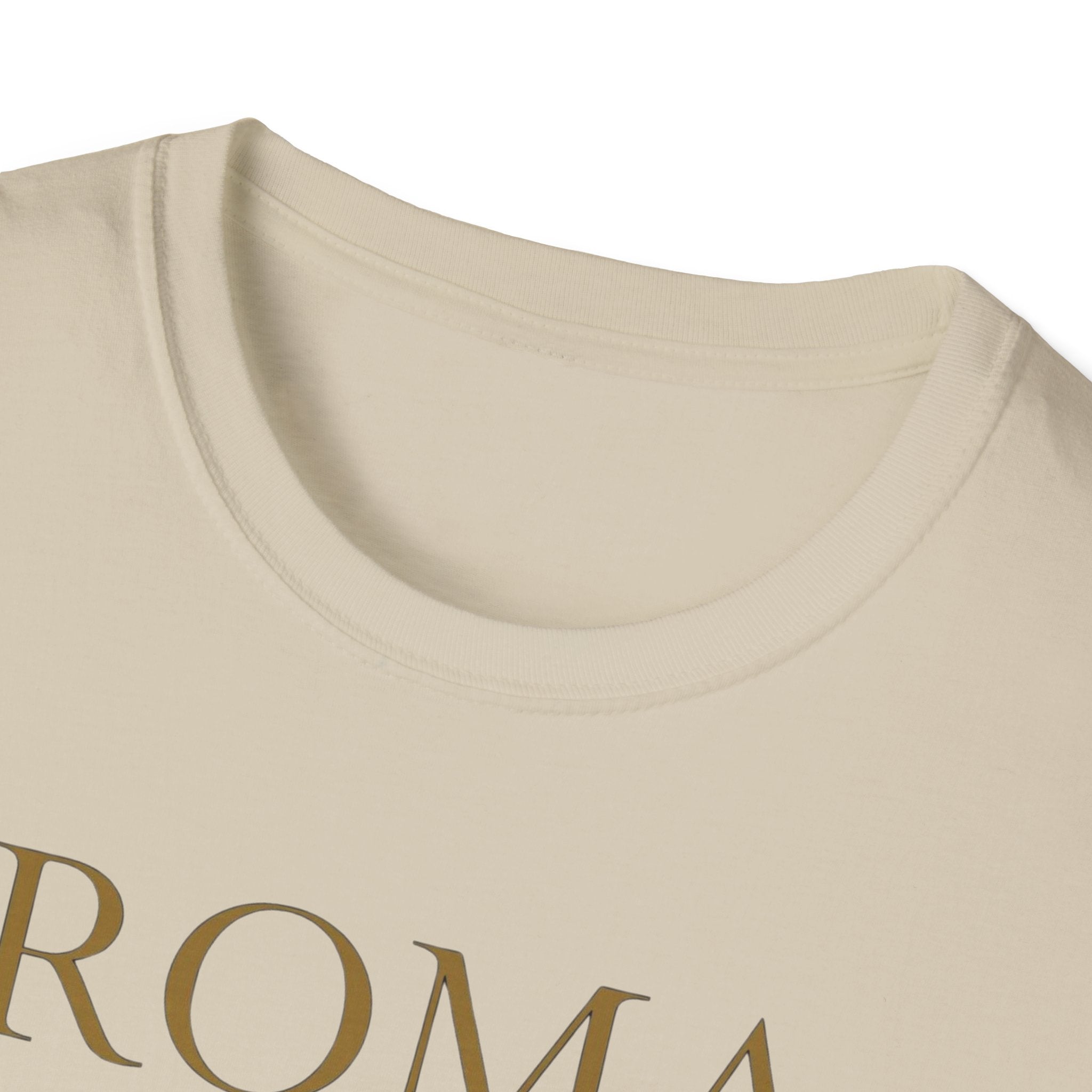 Roma Art Museum T-Shirt — "It’s a Real Draw" Vintage Travel Tee