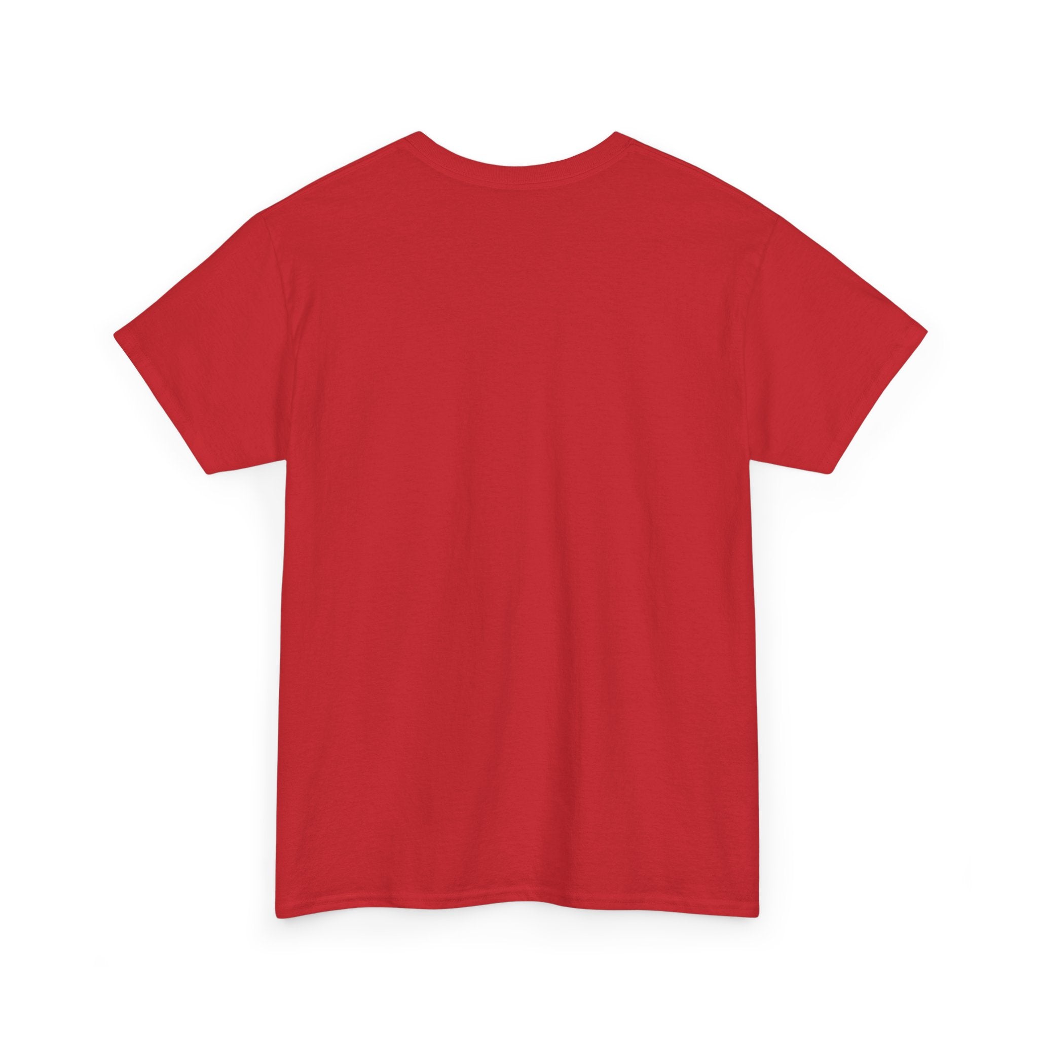 Sarcasm University No Degree Required T-Shirt | Funny Sarcastic Tee