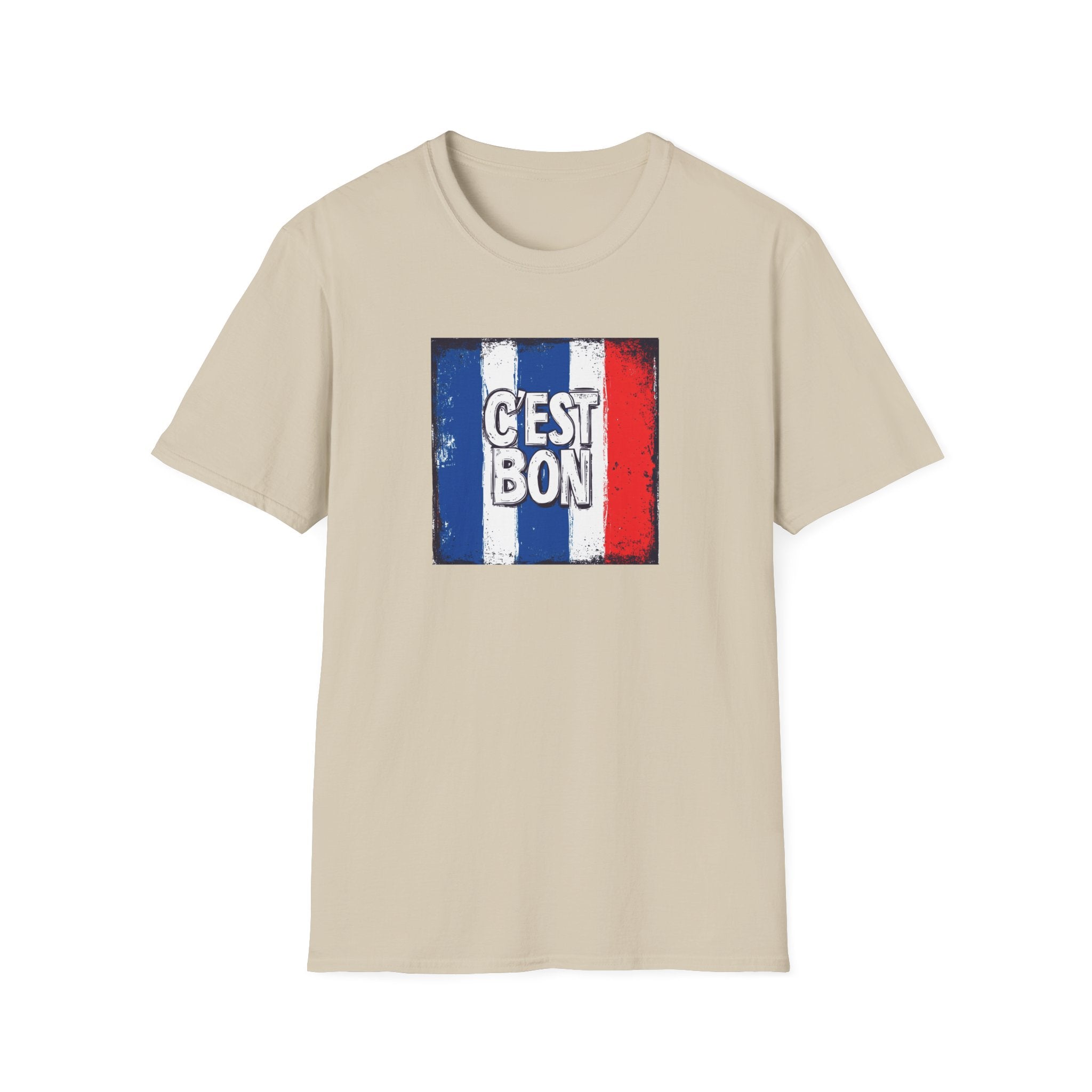 Cest Bon T-Shirt | French Flag Graphic, Vintage Tricolor Design