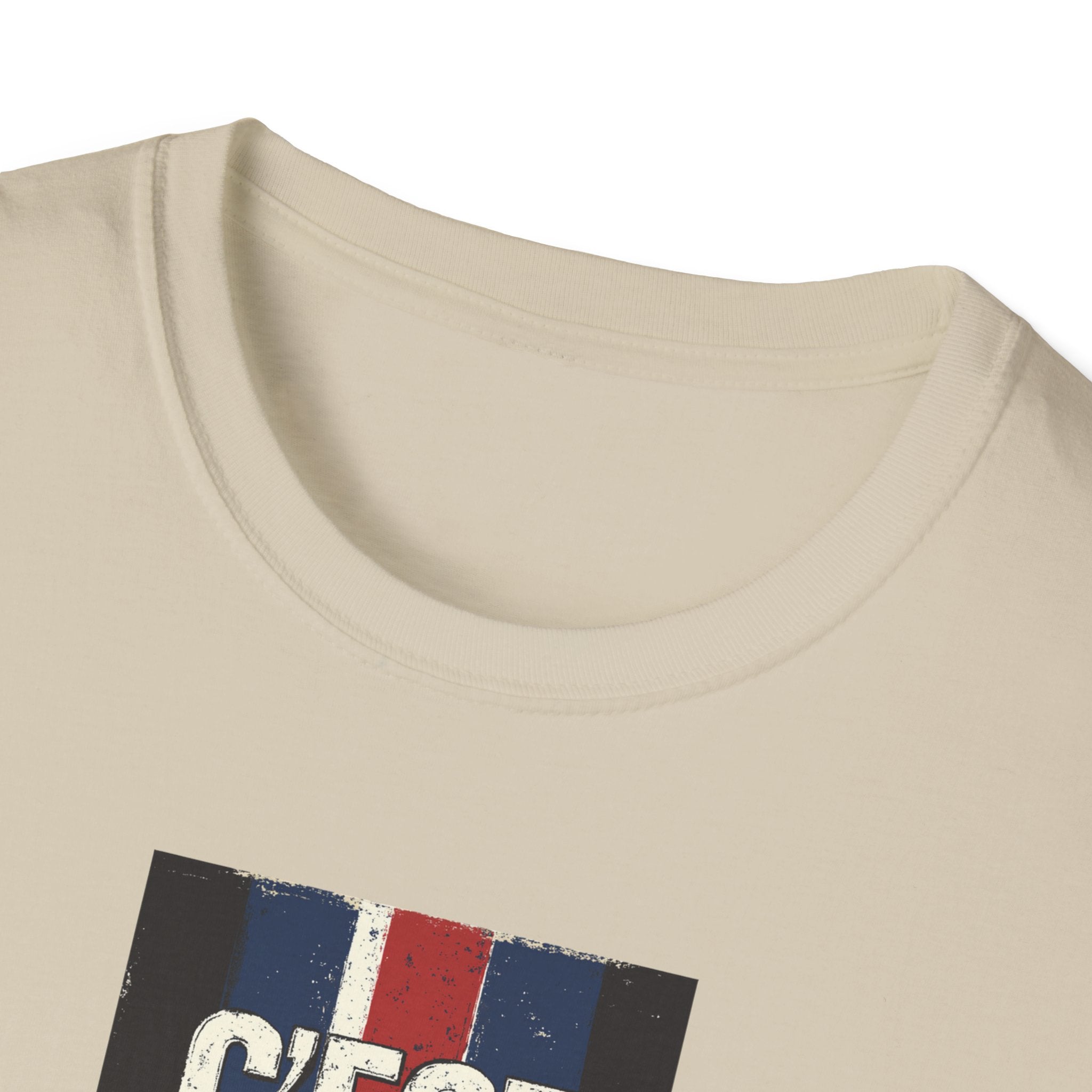 C'est Bon French Flag Stripe T-Shirt | Retro French Phrase Tee