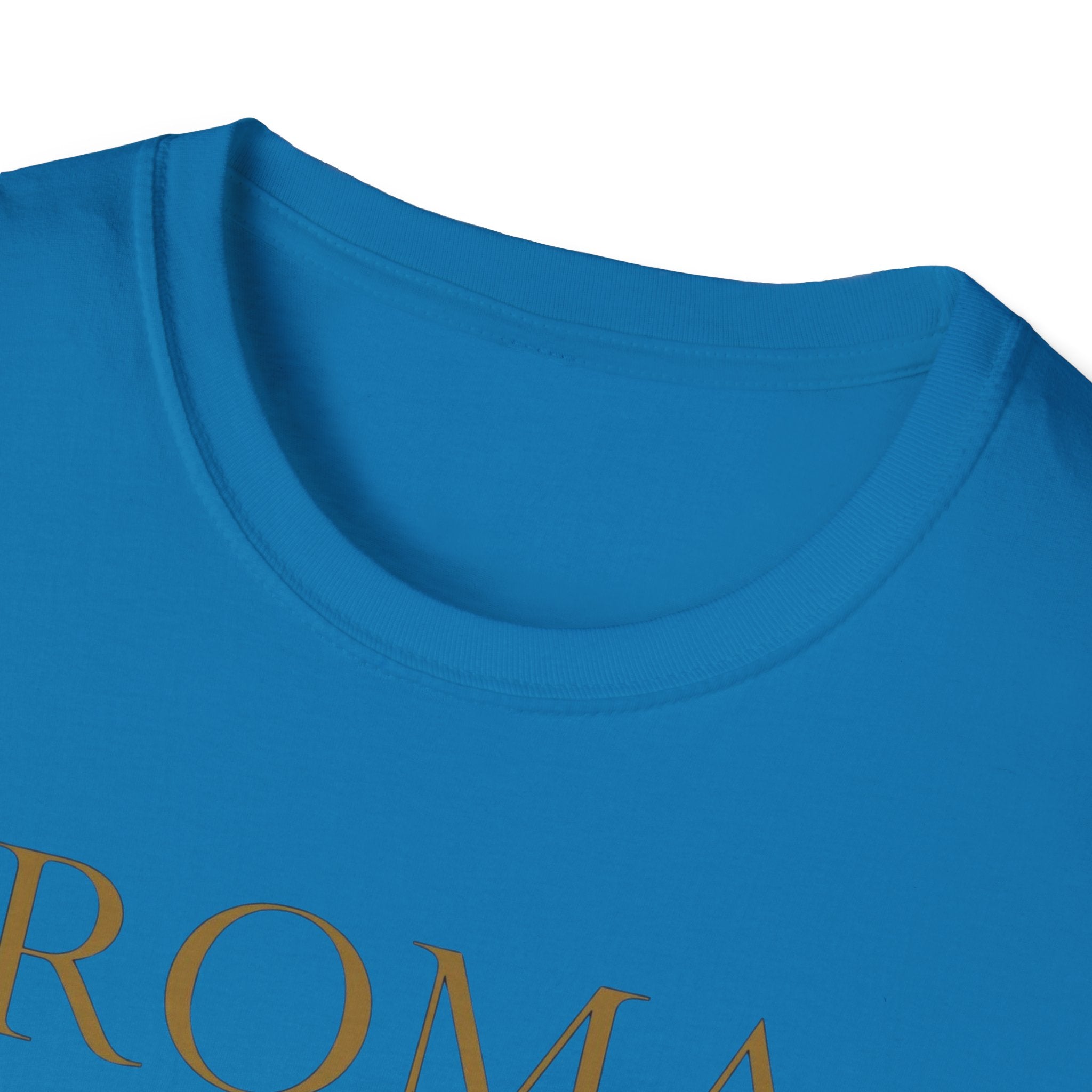 Roma Art Museum T-Shirt — "It’s a Real Draw" Vintage Travel Tee
